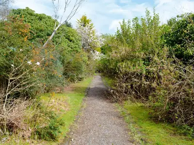 a path through the trees on a trail at Gardener's Cottage in Palnure