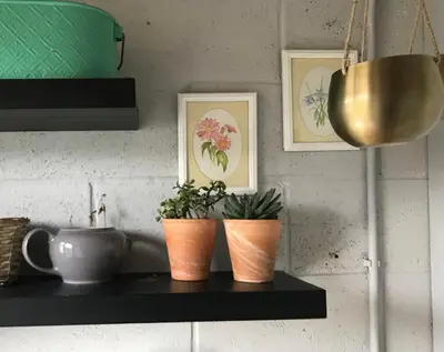 a shelf with two plants and a pot on it at Mill Cottage modern cosy Lake District home with open fire near Scafell in Gosforth