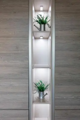 two potted plants on shelves in a room at West Sands - Donnini Apartments in Ayr