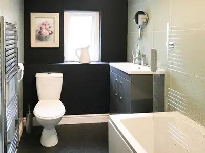 a bathroom with a white toilet and a sink at Kitty's Cottage in Girvan