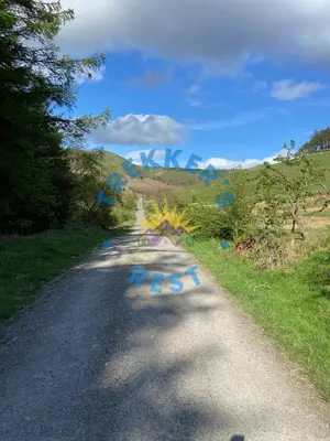 a road with graffiti on the side of it at Trekkers Rest, Brigham, Cockermouth, Cumbria in Cockermouth