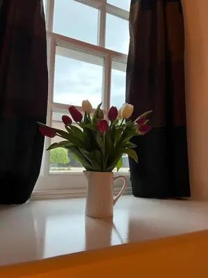 a vase of flowers sitting on a window sill at Courtyard Cottage in Lockerbie
