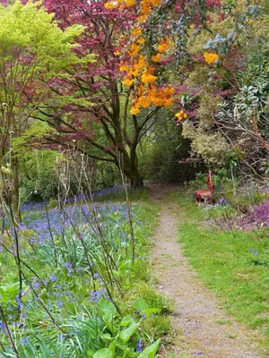 a path through a garden with flowers and a tree at Grooms Cottage in Carsethorn