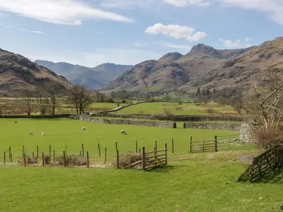 a field of green grass with mountains in the background at Fellside View in Ambleside