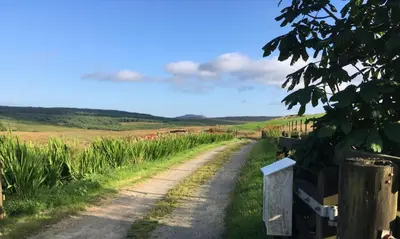 a dirt road in a field with crops at Grobdale Byre in Gatehouse of Fleet