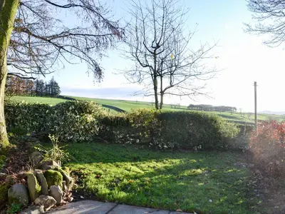 a grassy yard with a tree in the background at Cowar Bothy in Dalbeattie