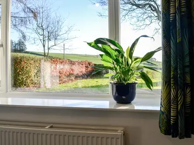 a potted plant sitting on a window sill at Cowar Bothy in Dalbeattie