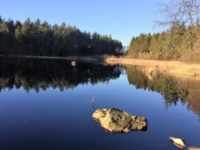 a rock sitting in the middle of a lake at Springfield in Dalbeattie