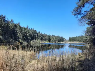 a view of a lake with trees in the background at Springfield in Dalbeattie