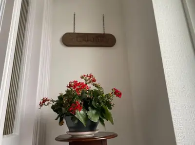 a plant in a vase on a table with a sign on the wall at St John's Flat Spacious Accomodation in Dalry