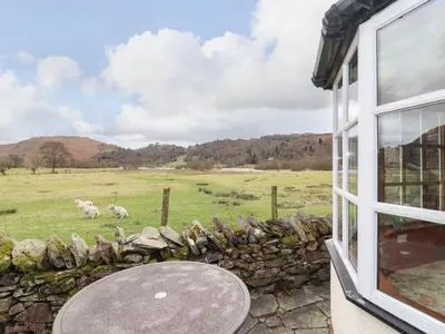 a window of a house with sheep in a field at Pavement End Cottage in Grasmere