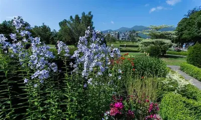 a garden with purple flowers in a park at Agathi in Keswick