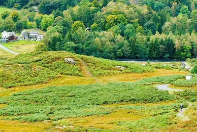 a grassy hill with a house in the background at Pollys Cottage in Elterwater