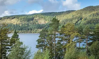 a lake in the middle of a mountain with trees at Thirlmere Cottage in Keswick