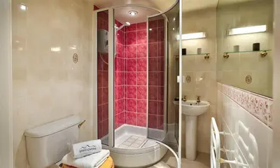 a bathroom with a shower and a toilet and a sink at Felldale in Glenridding
