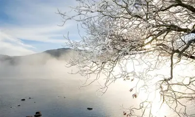 a snow covered tree next to a body of water at Felldale in Glenridding