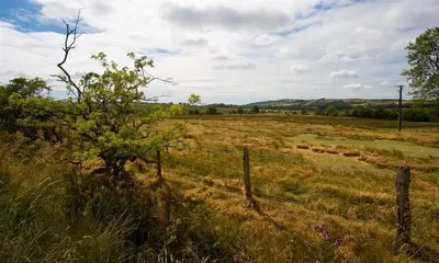 a field of grass with a fence and a tree at Scalegill House in Cockermouth
