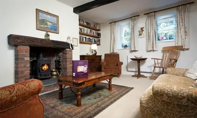 a living room with a couch and a fireplace at White Lion Cottage in Chapel Stile