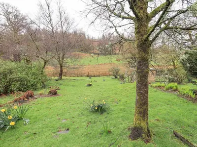 a field of grass with a tree in the foreground at Holme Ground Cottage in Coniston