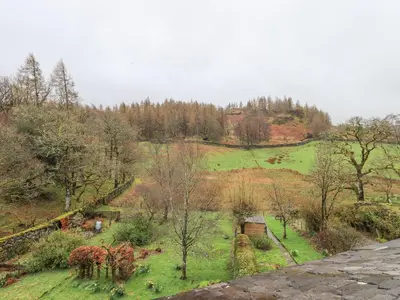 a view of a field with trees on a hill at Holme Ground Cottage in Coniston