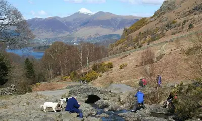 a group of people on a hill with a bridge and animals at Artists Hideaway in Portinscale