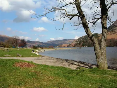 a tree sitting next to a body of water at Bleaberry Cottage in Penrith