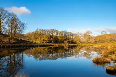 a view of a river with trees in the background at Lingmoor View in Ambleside
