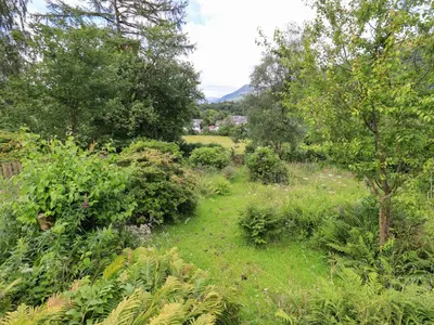 a field of grass with trees and bushes at Sandburne Cottage in Keswick