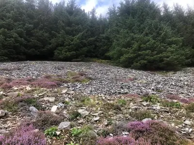 a large rocky field with trees in the background at Lategillan Cottage in Polmood