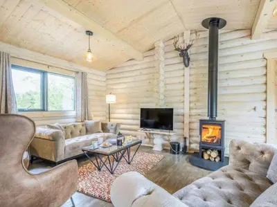 a living room with a couch and a fireplace at Treetops Luxury Log Cabin - Hot tub, BBQ & Sauna in Kippford
