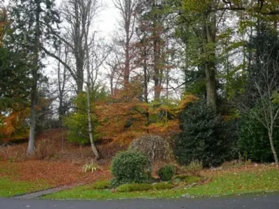 a group of trees and bushes on the side of a road at Keswick Bridge 13, within walking distance of Keswick town centre, strictly no pets in Keswick