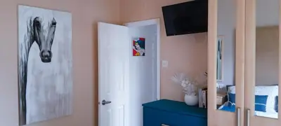 a room with a white door and a blue cabinet at 24 The Zen Den Cumbria in High Hesket