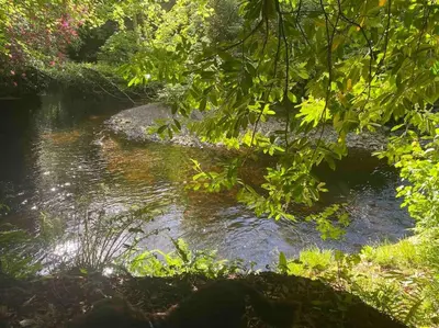 a stream of water with rocks and trees at Teapot Cottage in Ennerdale - Hot tub Pizza Oven Log Burner in Cleator
