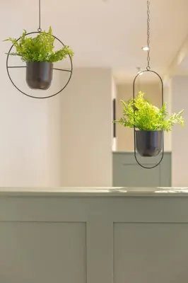 two potted plants hanging on a counter in a kitchen at The Old Mill Inn in Dearham