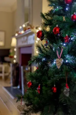 a christmas tree in a living room with a fireplace at Home Farm Cottage in Stranraer