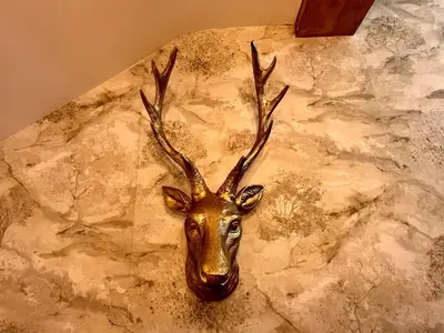 a mask of a deer head on a wall at Stylish & cosy barn minutes from the Lake District in Penrith