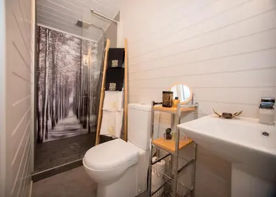a bathroom with a toilet and a sink at Reflections, Netherby, a micro cabin with hot tub in a rural setting in Longtown