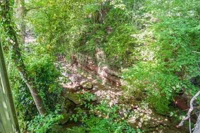 an overhead view of a forest with trees and plants at The Snug, Netherby, cute shepherds hut with hot tub in a rural location in Longtown