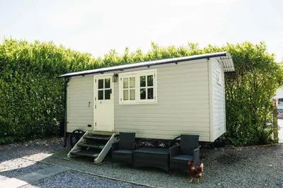 a chicken standing in front of a tiny house at The Snug, Netherby, cute shepherds hut with hot tub in a rural location in Longtown
