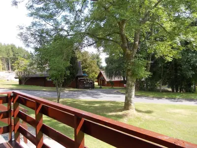 a wooden fence in front of a park with a tree at Bluebell Lodge 4 with Hot Tub in Newton Stewart