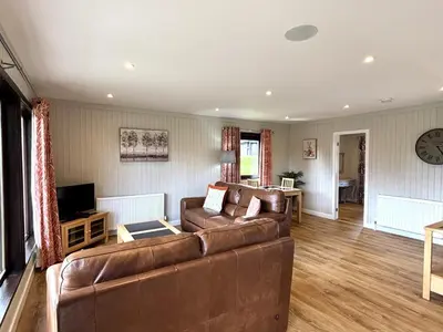 a living room with a couch and a television at Bluebell Lodge 9 with Hot Tub in Newton Stewart