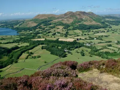 an aerial view of a valley with mountains and trees at Damson Ghyll B&B in Loweswater