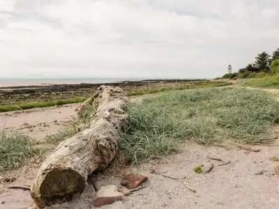 a large rock sitting on the side of a dirt road at Dershel Lodge in Dumfries