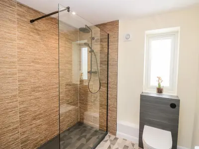 a bathroom with a shower stall and a toilet at How Hill Farm Cottage in Penrith