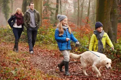 a family walking a dog in the woods at Beautiful 2BR In Kippford With Incredible Views - Pass the Keys in Palnackie