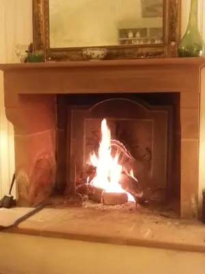 a fireplace with a fire in it at Riverside House in Thornhill