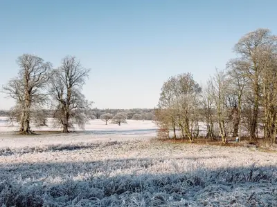 a field covered in snow with trees in the background at Cleugh Foot in Longtown