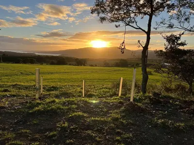 a sunset in a field with a tree and a fence at Ocean Drive in Gatehouse of Fleet