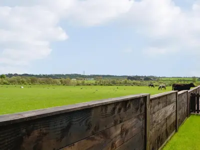 a field with cows grazing in a field behind a fence at Fell View Cottage - Uk43378 in Kirklinton