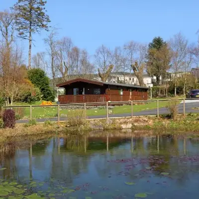 Birchlea